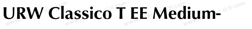 URW Classico T EE Medium字体转换